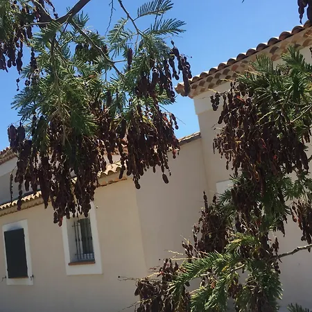 Tropezienne Villa *